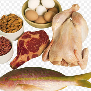 Protein Starter Pack